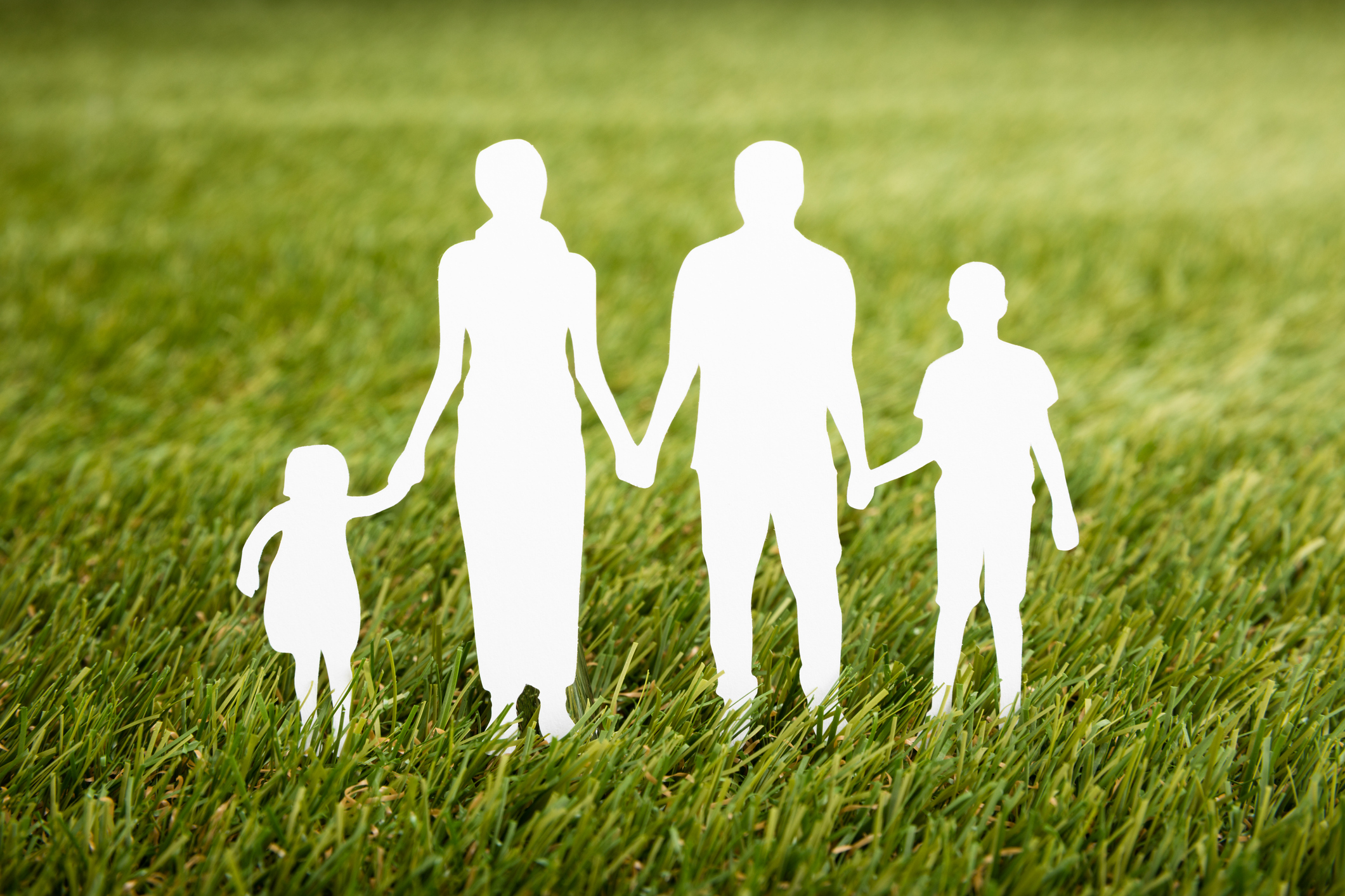 Family Papercut On Grassy Field